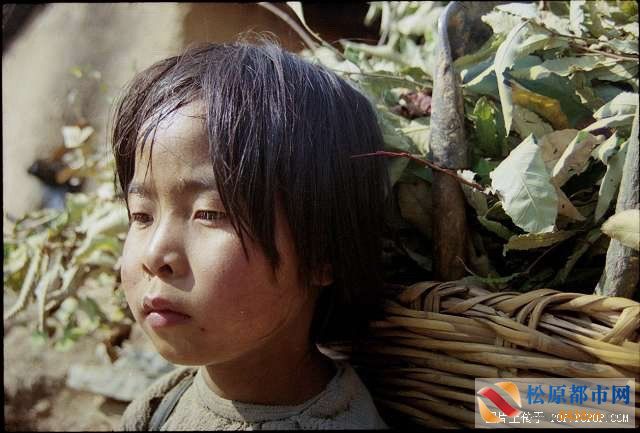 A407450335506FEN.jpg