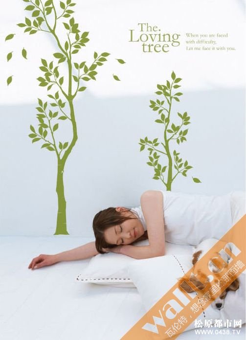 004瓦伦特墙贴-品牌墙贴-墙贴品牌-墙贴厂家-墙贴代理-墙贴批发-墙贴加盟-墙贴材料-墙贴.jpg