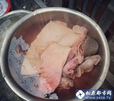 大陆东北饺子城.jpg