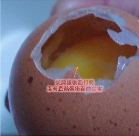 人造鸡蛋.jpg