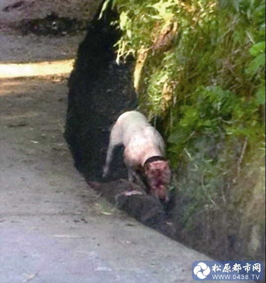 QQ截图20130528194954.png