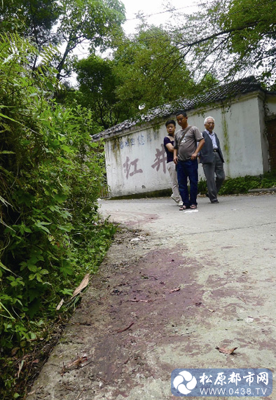 QQ截图20130528195041.png