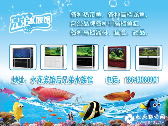 水族馆商家大图.jpg