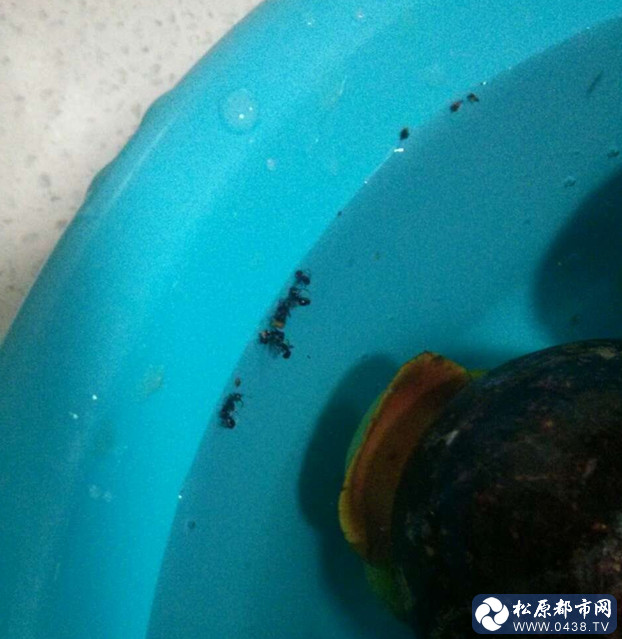 QQ截图20140604093740.png
