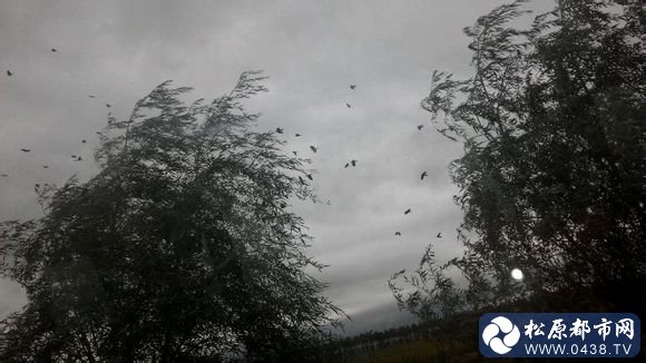 ec9e6d81800a19d80d7c691230fa828ba61e464f.jpg