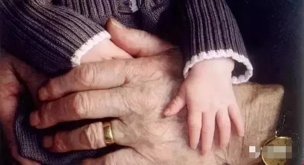 640.webp (2)_看图王.jpg